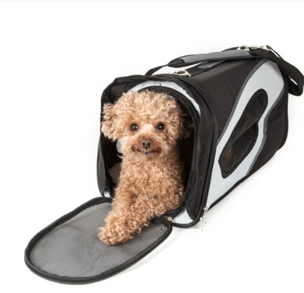 Small dog carrier