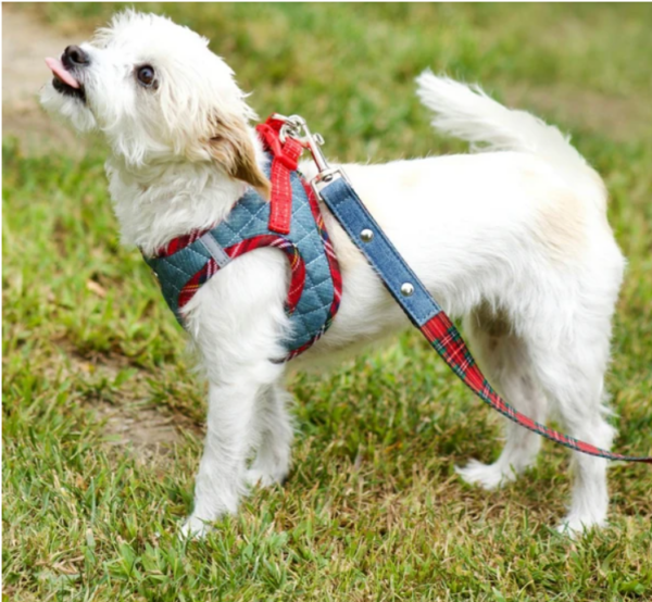 Step-In Denim Dog Harness - Red Plaid - Image 2